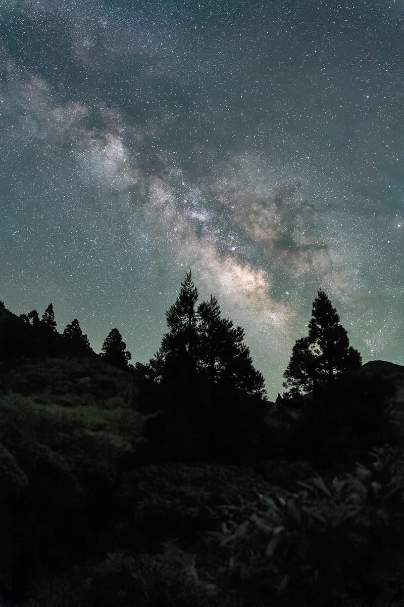 Milky Way Landscape